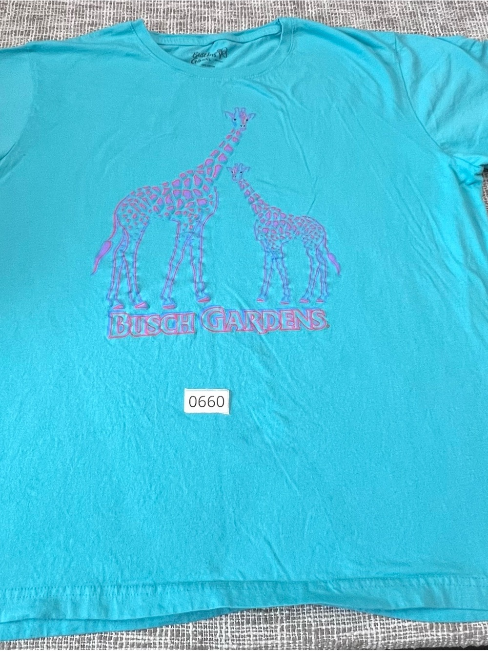 Busch Gardens Turquoise Short Sleeve Tee with Pink Giraffe Graphic